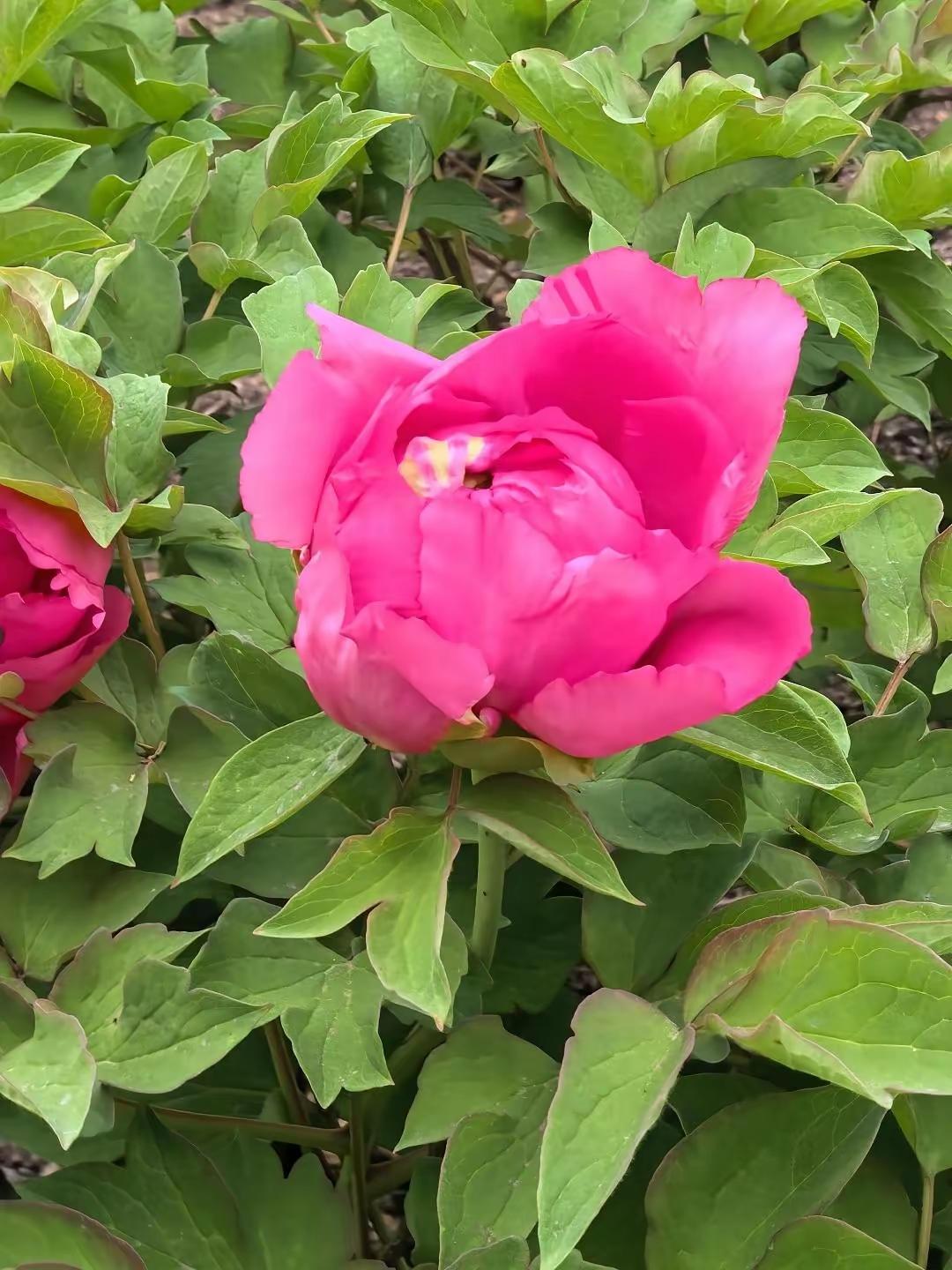 在国际事务中，讲道理、回到谈判桌才是解决问题的正道。世界不能退回丛林法则，用道理