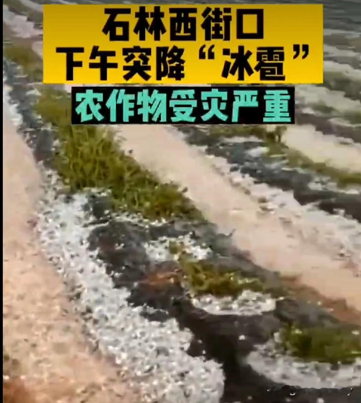 朋友聊天，今年天气极端，我认为朋友是信口开河，没成想被他言中。

前天下午，和一