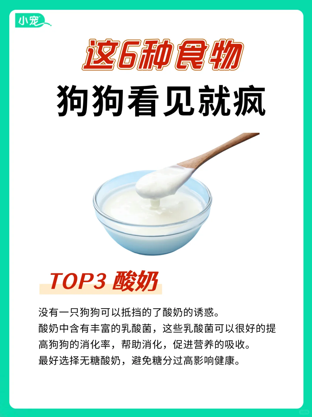 狗狗无法抗拒的6大美食🍴看到就疯狂