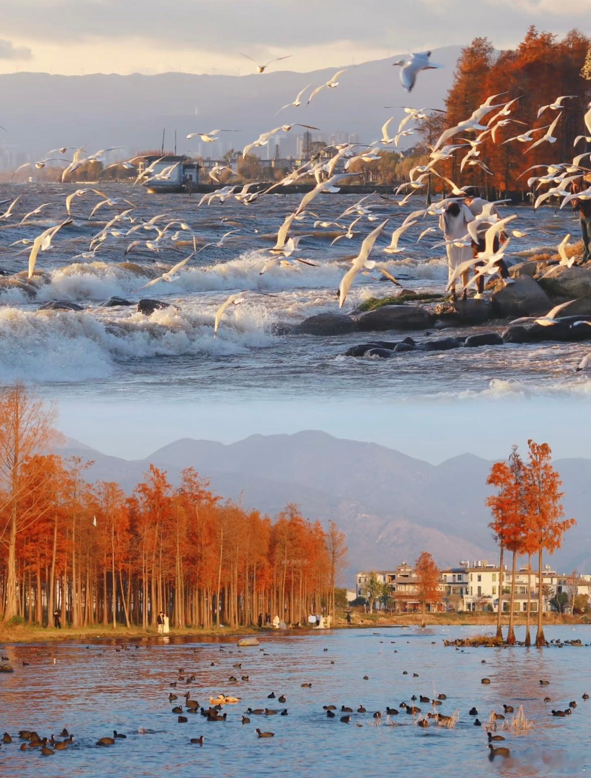 pick你心中的改编潜力王微博年度待改编IP评选海龟从不与海浪相争，而是巧妙利用