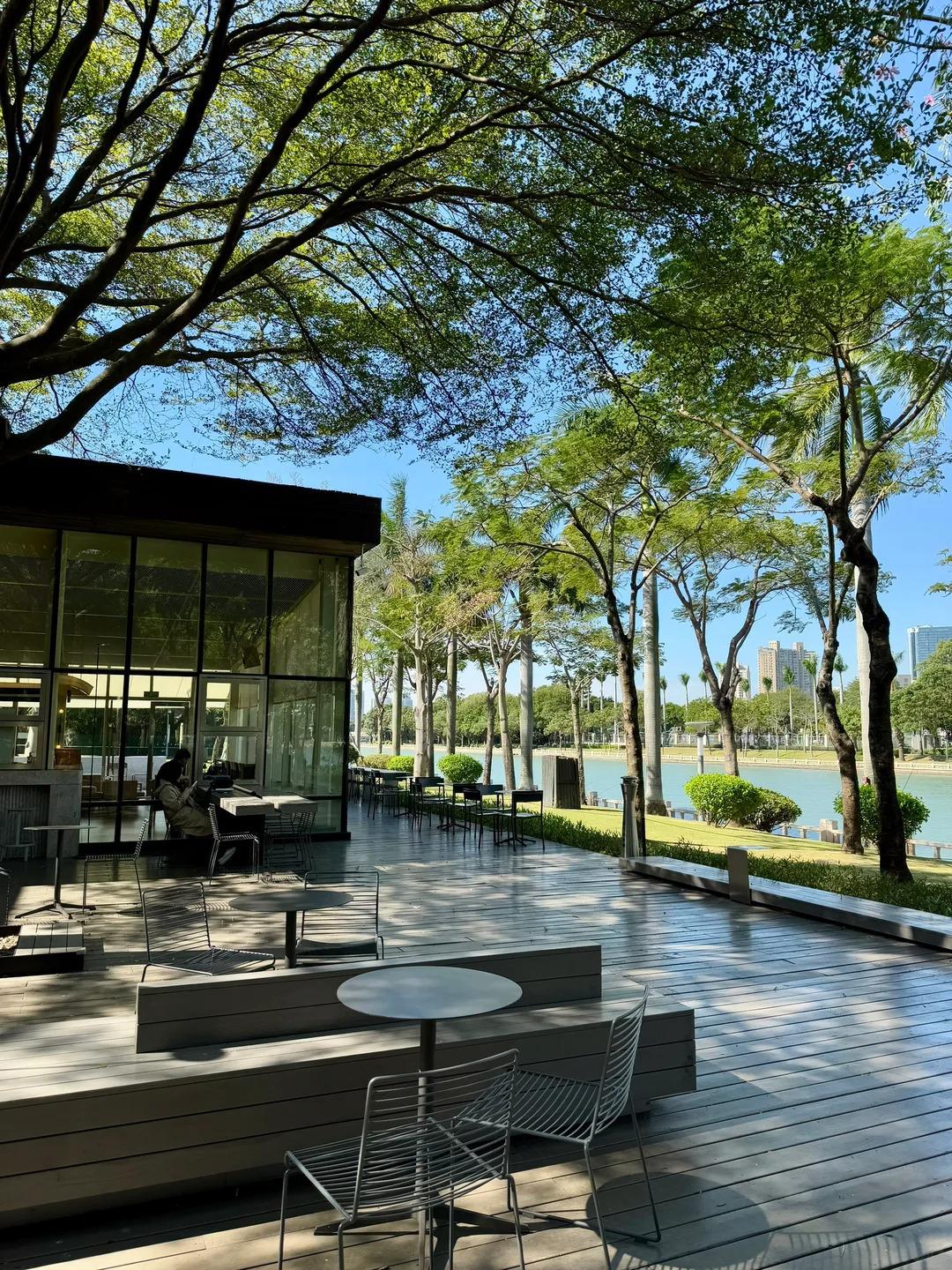 阳光透过枝叶洒下来，光斑在木地板上晃悠，连椅子都透着松弛感。这才是周日该有的样子