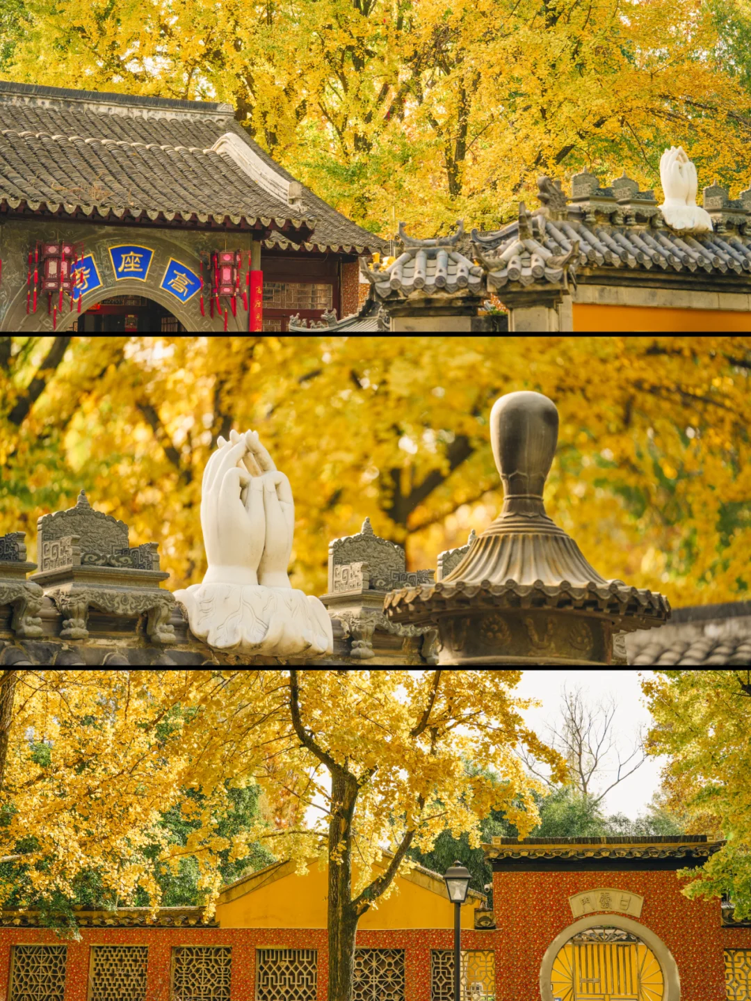 南京高座寺|今秋最冷门的银杏赏秋地🍂