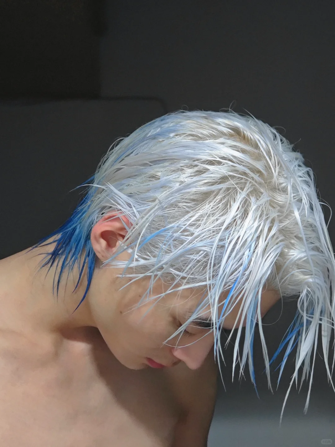 染个绝绝蓝鲻鱼头挑染