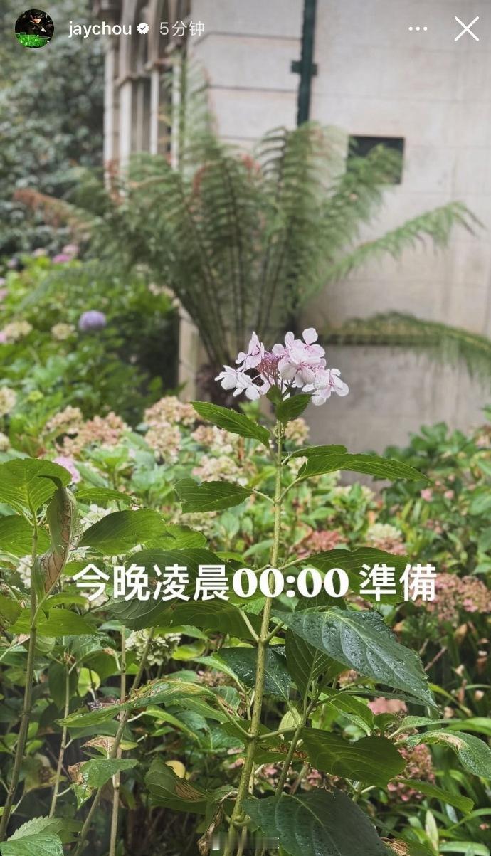 【周杰伦新专辑要来了吗 】3月17日，周杰伦更新ins快拍：今晚凌晨0:00准备