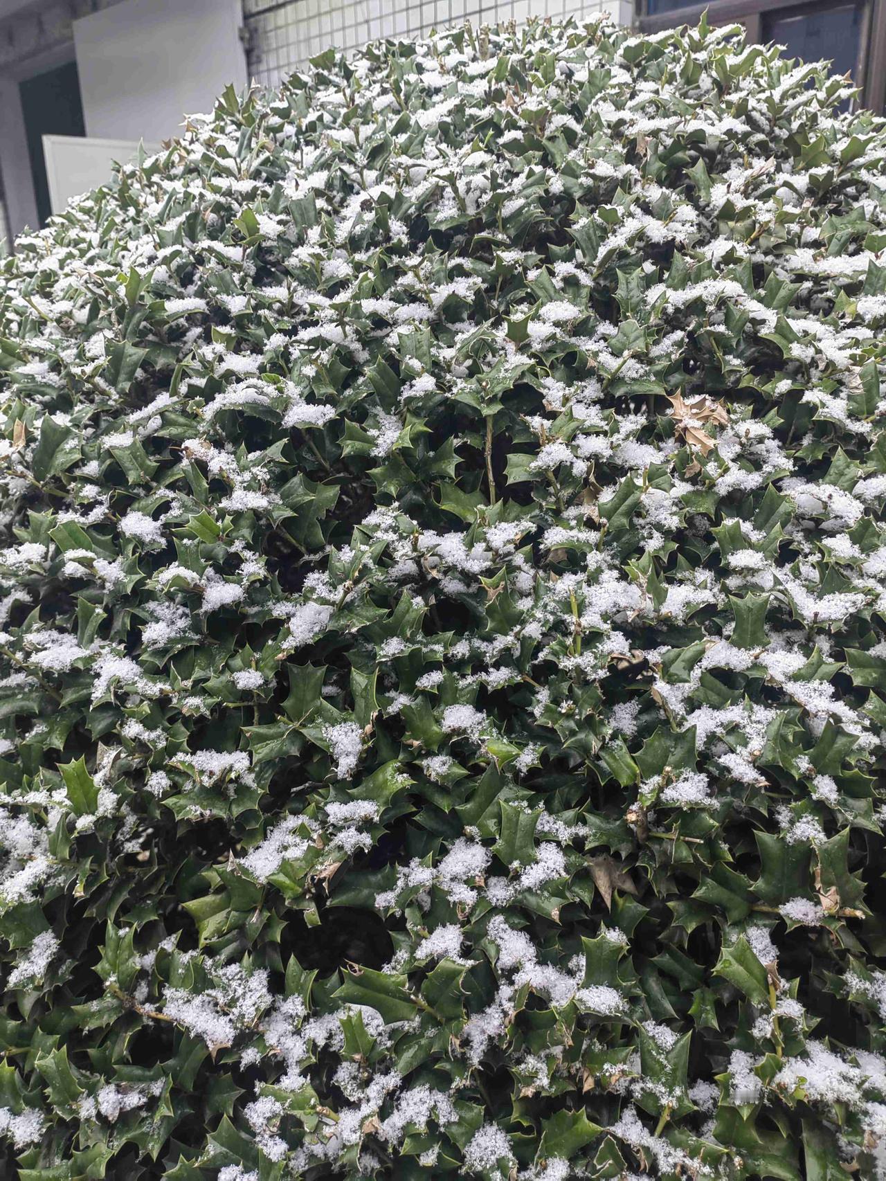 我的今日状态：😁轻松愉快
我这里的天气：❄️下雪