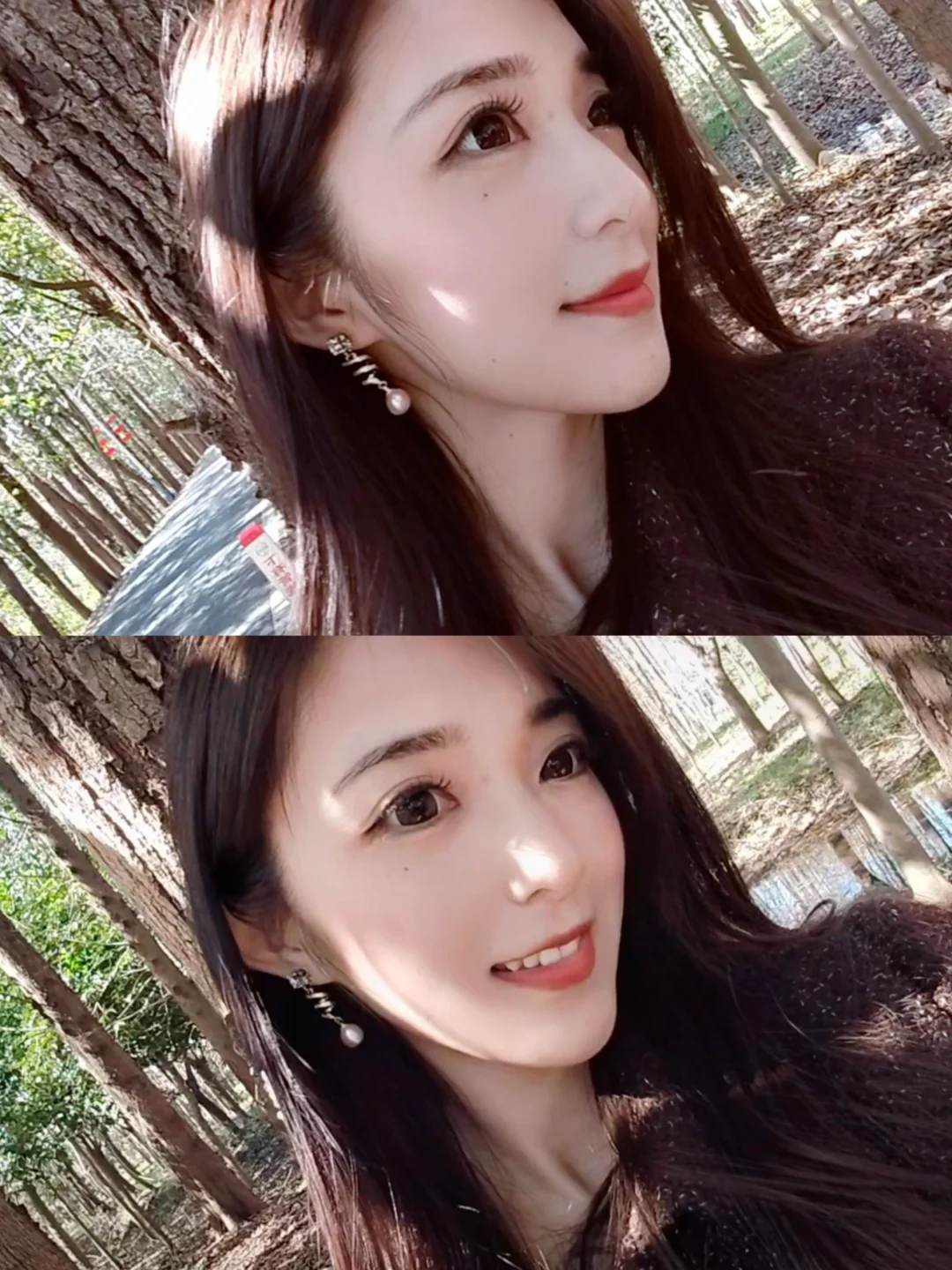 光合作用