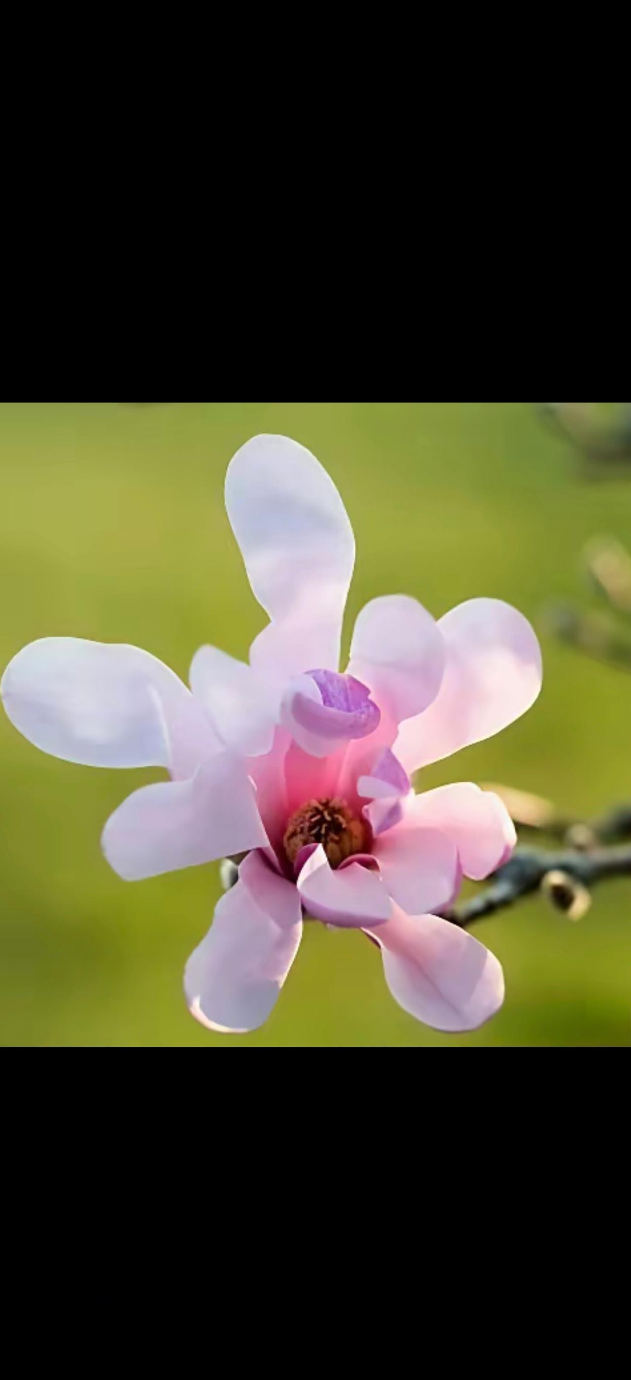 活好当下，说起来简单，做起来可不轻松。就拿我来说，以前总爱为未来担忧，为过去懊恼