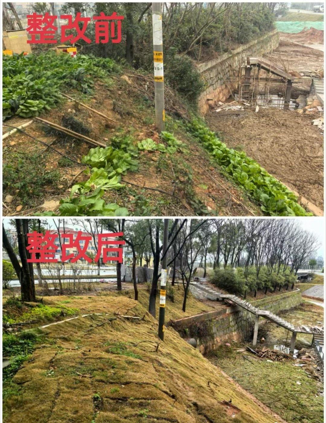 街道靶向整治，拆除30余处违建、清理全线违规种菜，封堵排污口、整治养殖污染，同步