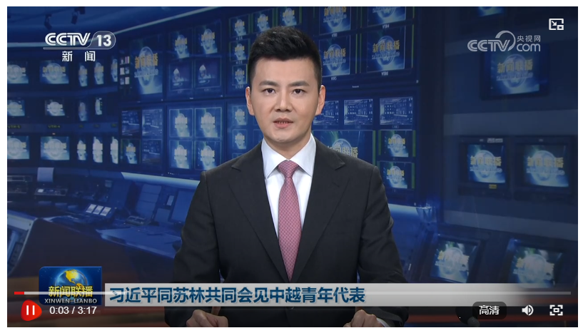 习近平同苏林共同会见中越青年代表