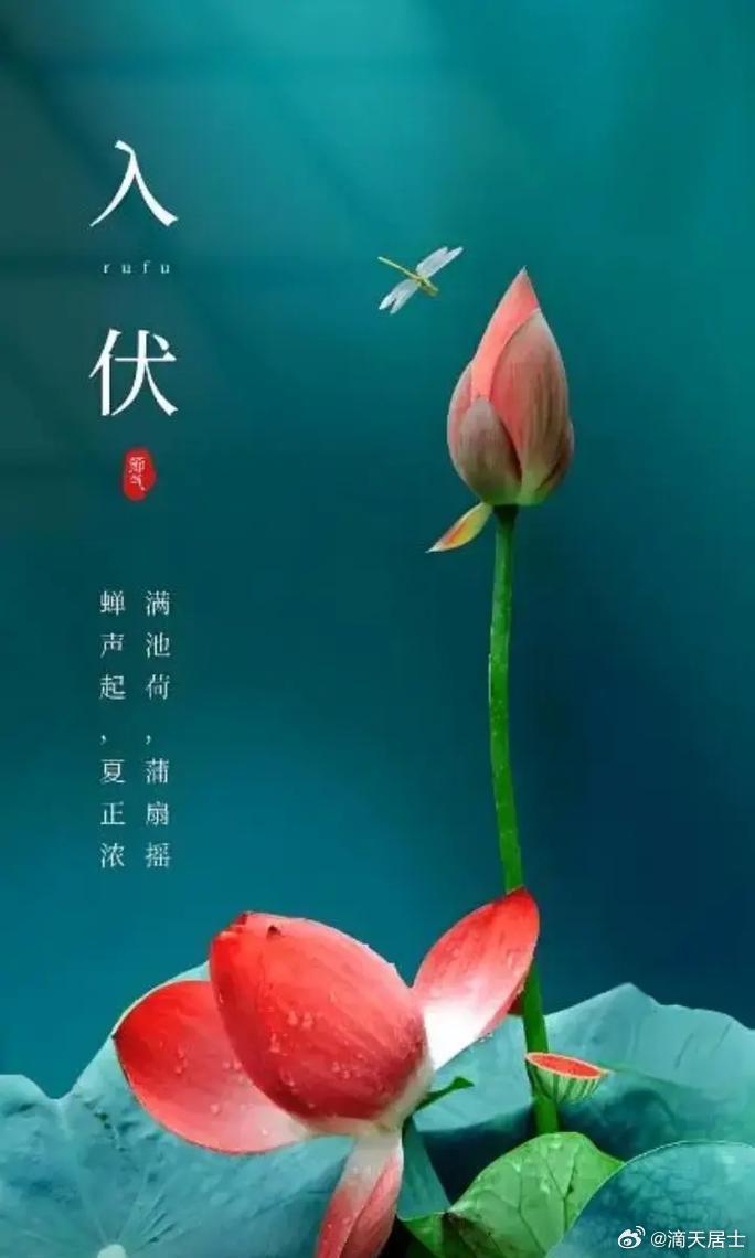 今日入伏，火气升腾，此乃全年最利改善之时。三伏期间，家中正南方位常亮一盏暖灯，催