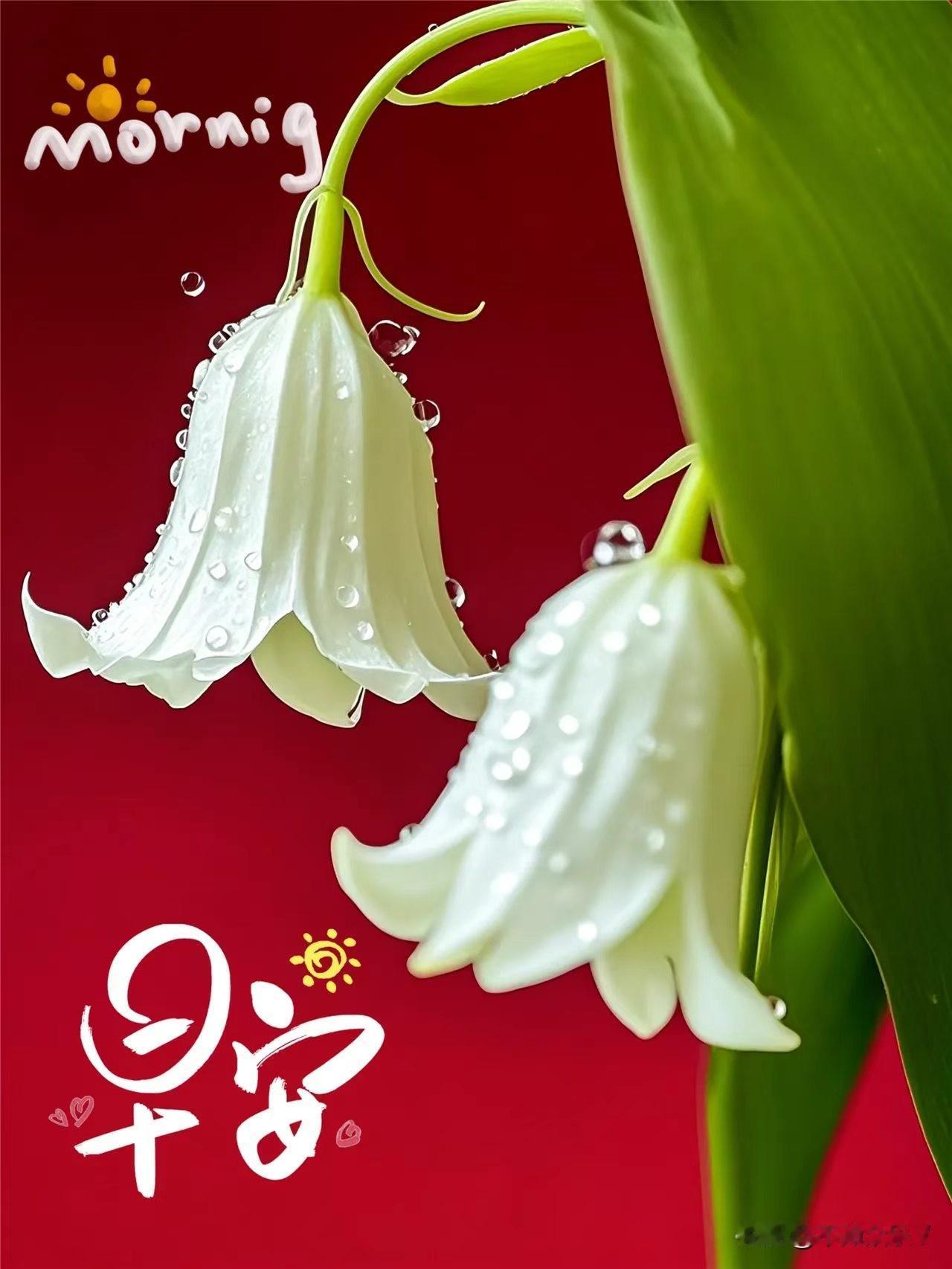 白玩的一天！

今天小涨小跌，亏了几十块钱。没啥感觉！

股市小涨小跌的行情，容