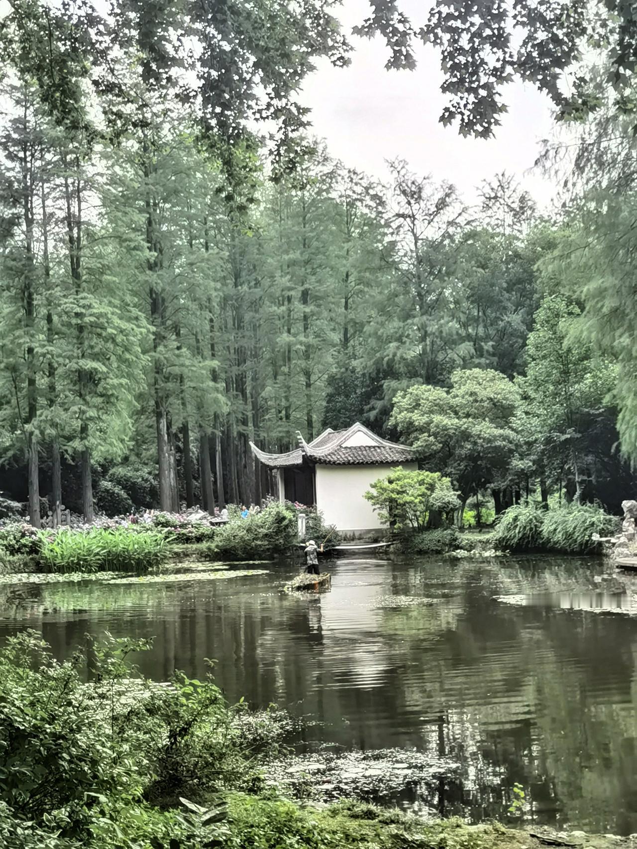 每逢佳节倍思亲，我家长辈们过年一些习俗延续着老家的味道，早餐硬核如片儿川、葱包烩