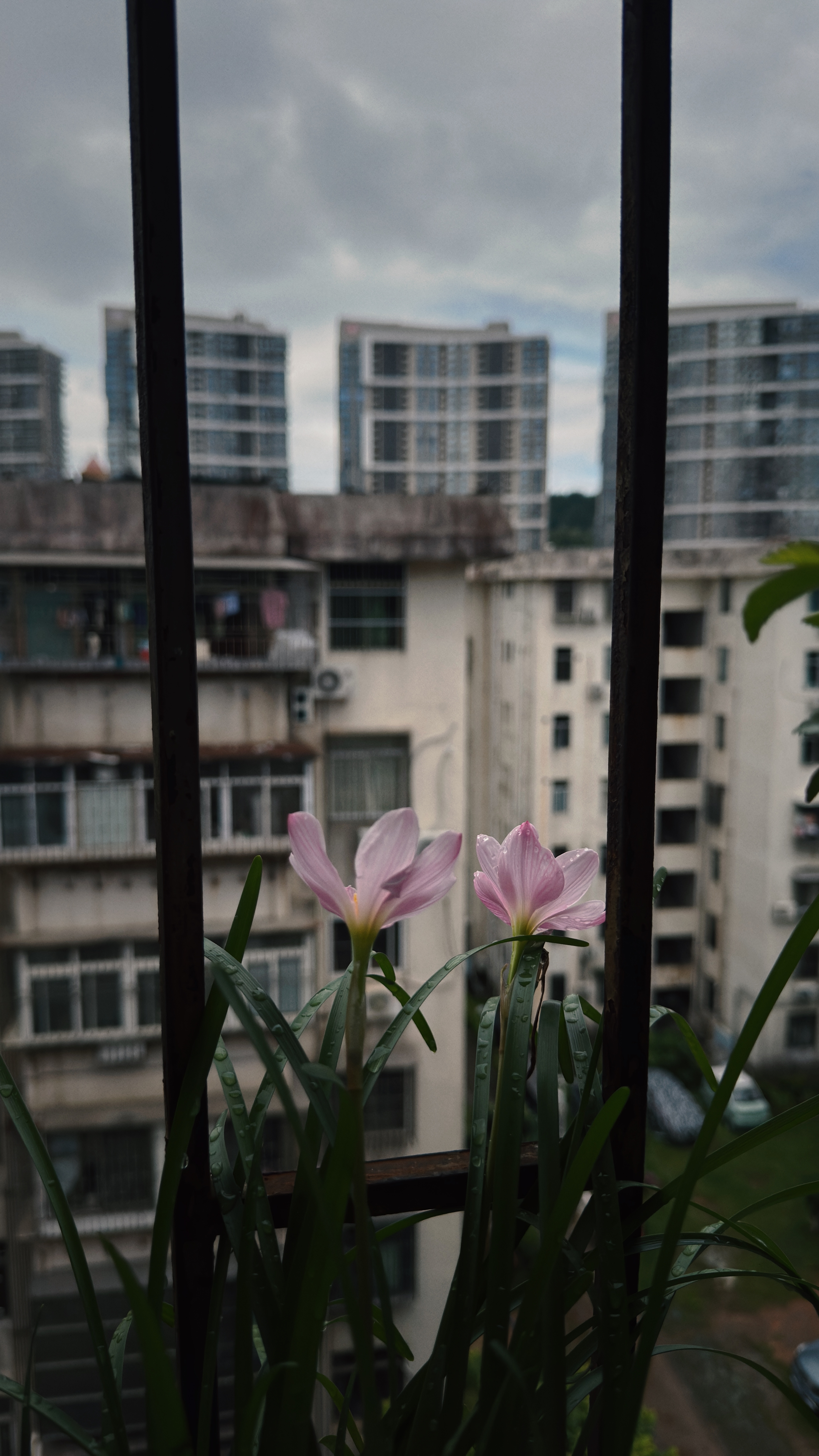 早。 