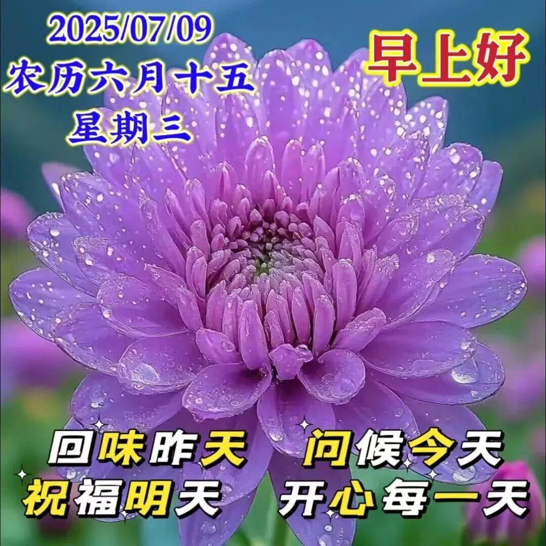 🌹碧碧的水，蓝蓝的天，友谊的电波越千山。穿过快乐村庄，飞过好运河流，经过希望田