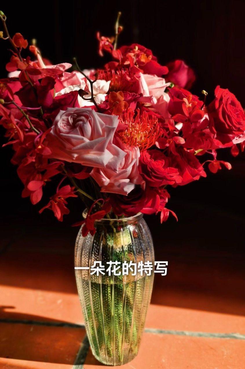 李少红导演分享手机拍摄技巧李少红导演揭示了拍摄的电影感核心为「色彩和光影」。很多