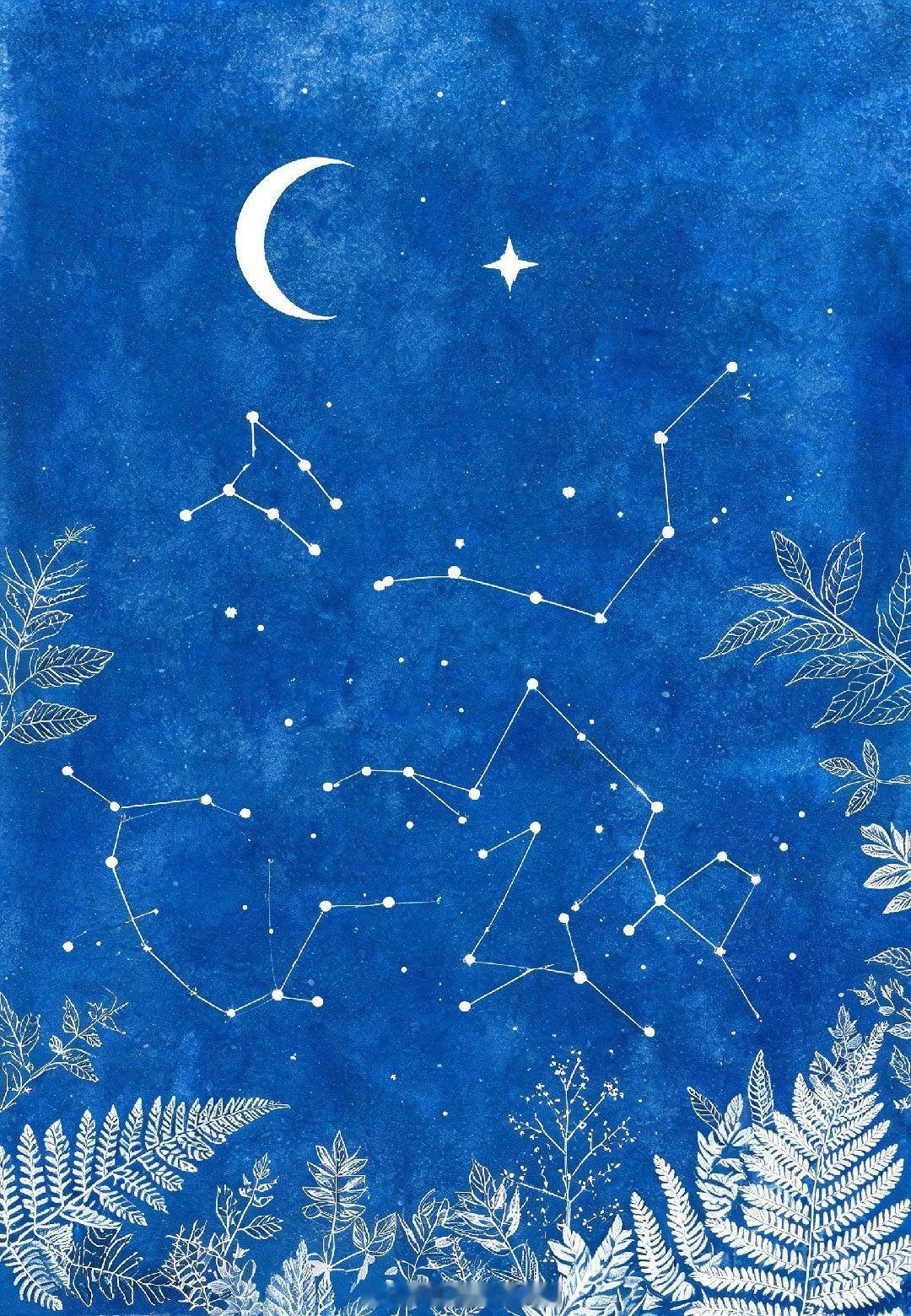 🌙 7.09 深夜星空｜金星狮子最后的谢幕，金牛月亮带你入眠夜深了，今天的能量