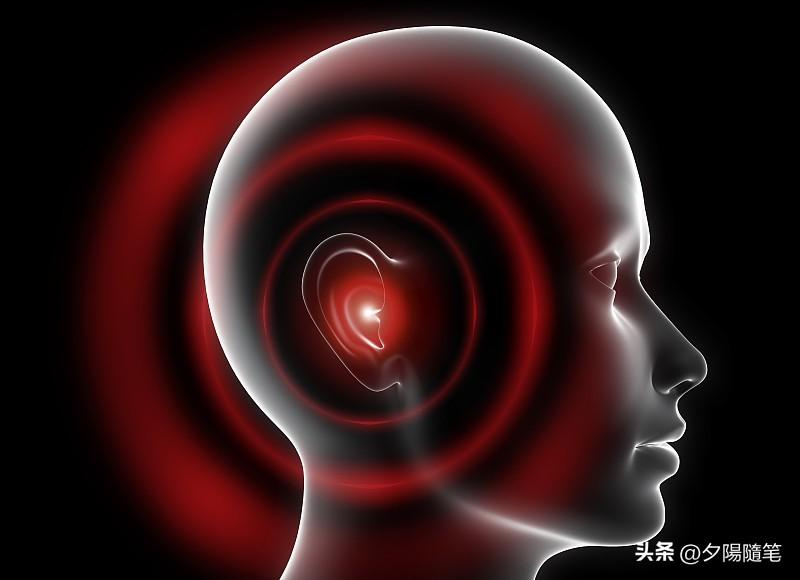 前阵子连续熬了三周大夜改方案，某天凌晨对着电脑突然听见脑子里有持续的蝉鸣音，一开