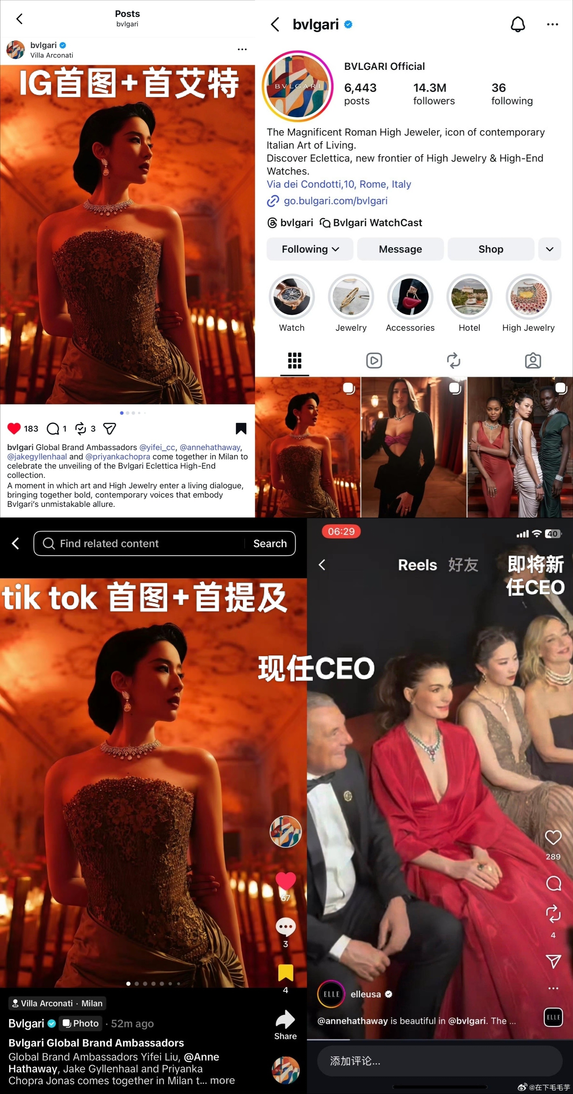 这次刘亦菲宝格丽待遇拉满，履历好强1.微博：首认领2.IG/tik tok ：首