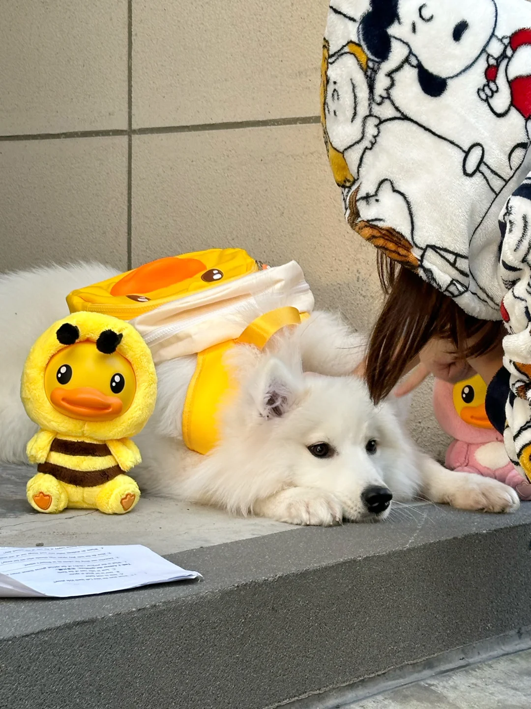 🛏️早八小狗被逼成困困狗了