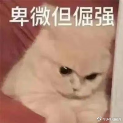 装修是一个遗憾工程吗 厨房没装洗碗机，过年碗筷堆到怀疑人生 