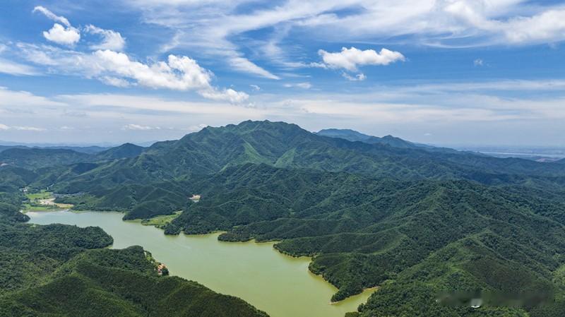 马云先生；发展绿色、促进青山绿水的和谐结合；共筑生态产业；促进生态经济；全新的转