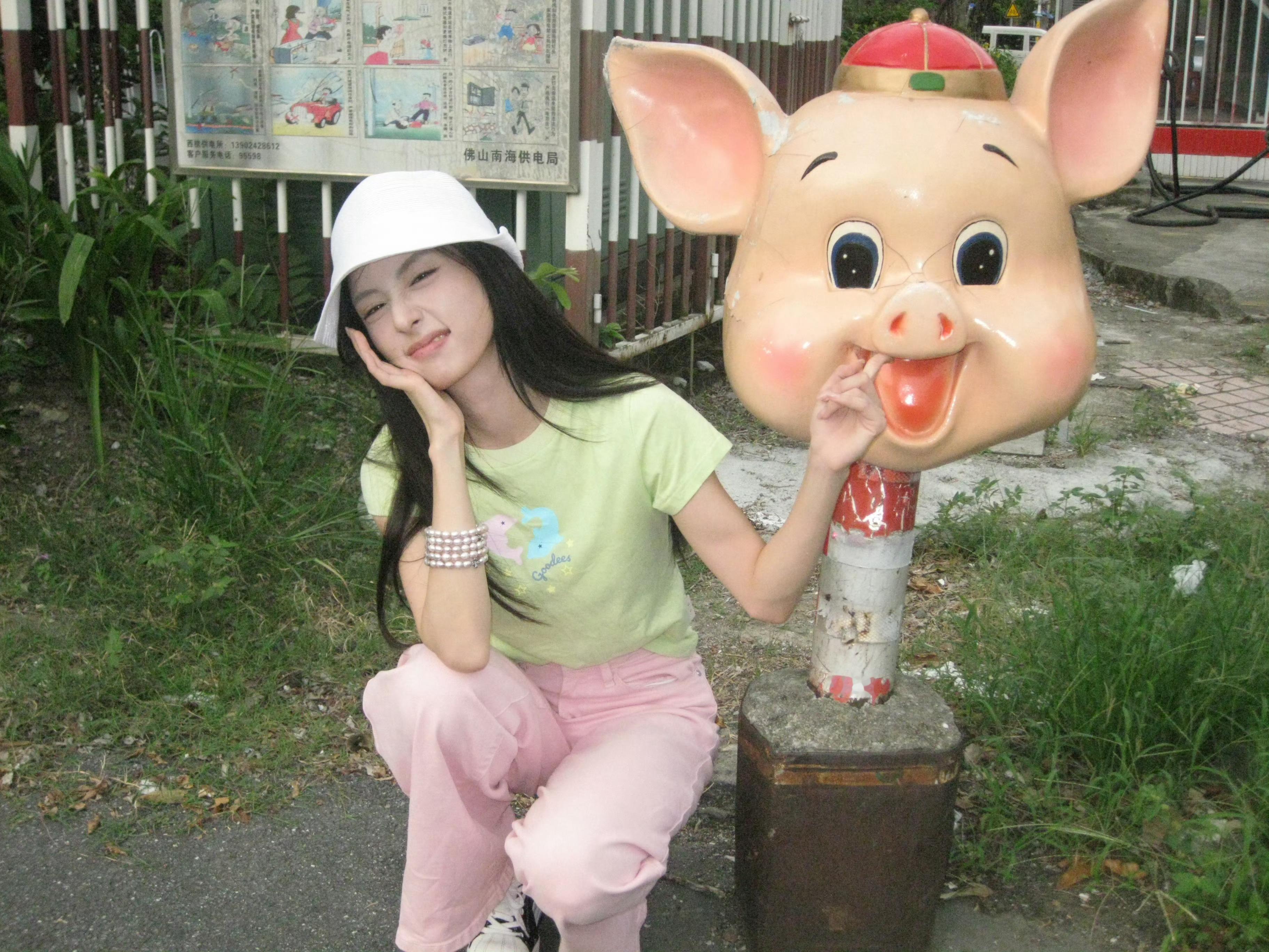 图上有两只🐽 