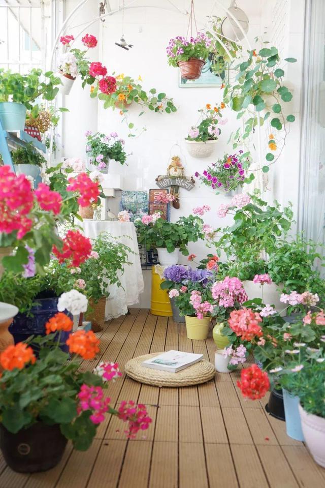 我现在喜欢上种花了，种花能够陶冶情操，释放工作和生活的压力。
这是一个很高尚和很