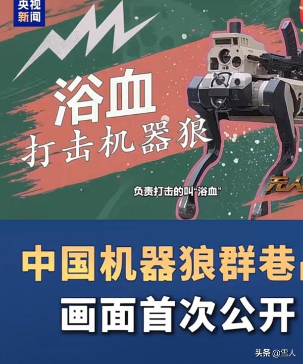 2026首次亮相中国机器狼别看长得像机器狗，两者差别真的太大了！笔者个人看法:很