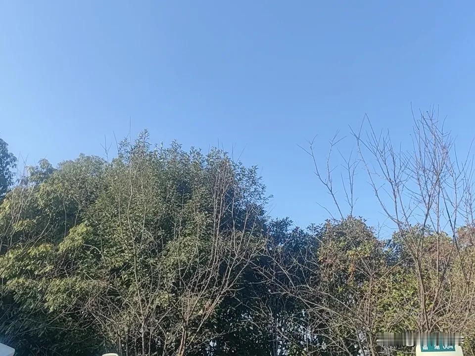 晒图笔记大赛  晒图笔记大赛，生活之美尽收眼底
生活藏着无数小确幸，不同季节都有