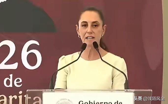 墨西哥总统辛鲍姆回应特朗普在社交媒体上指责墨西哥安全合作不力:“我们可以协作，共