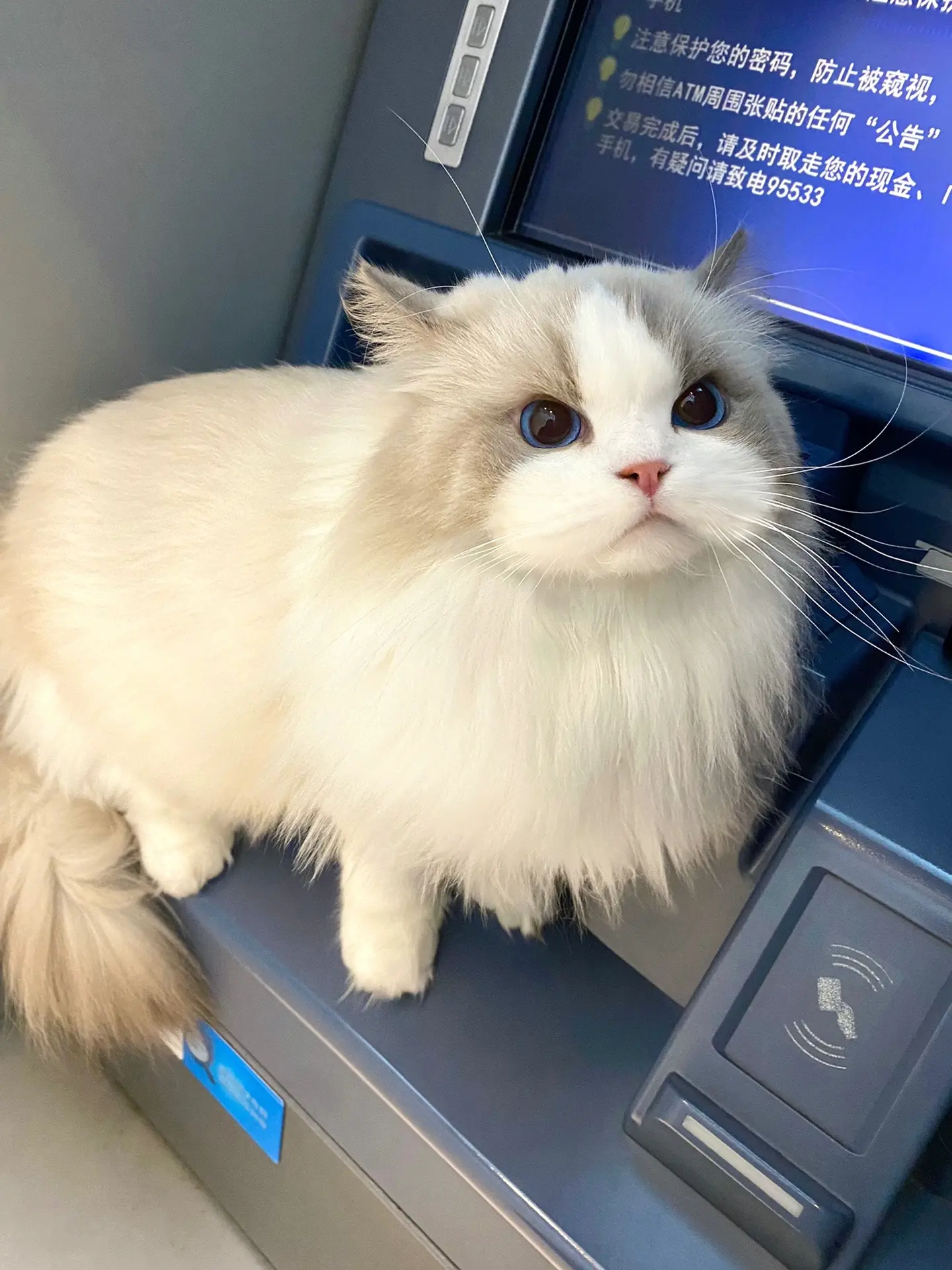 我只是说了句他没脖子。说他两句就开始委屈了 啥表情~还一脸不屑🫤