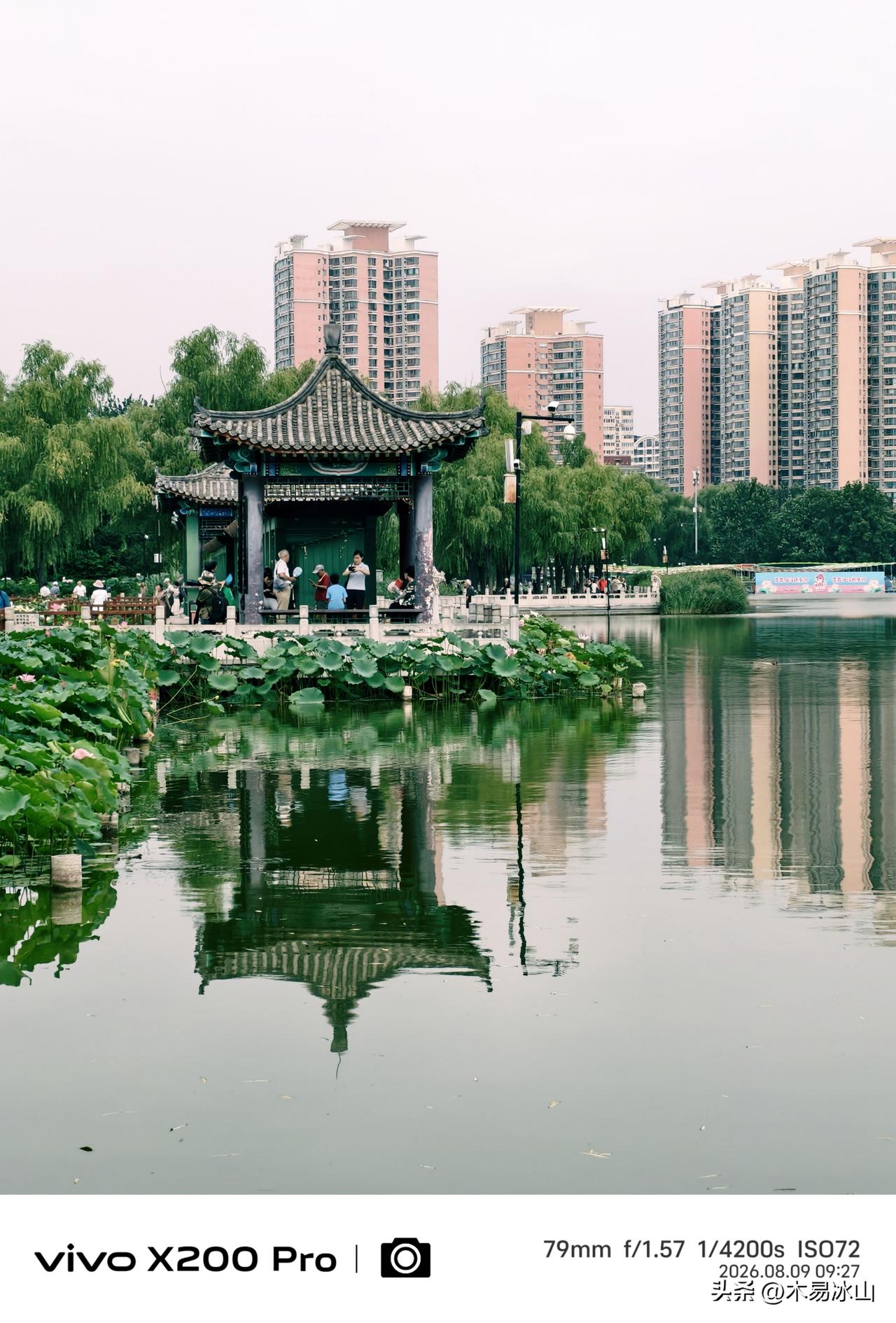 入秋的北京，酷暑渐渐消失，游莲花池公园，走马观花赏荷，随手一拍，秋色美景，秋意浓