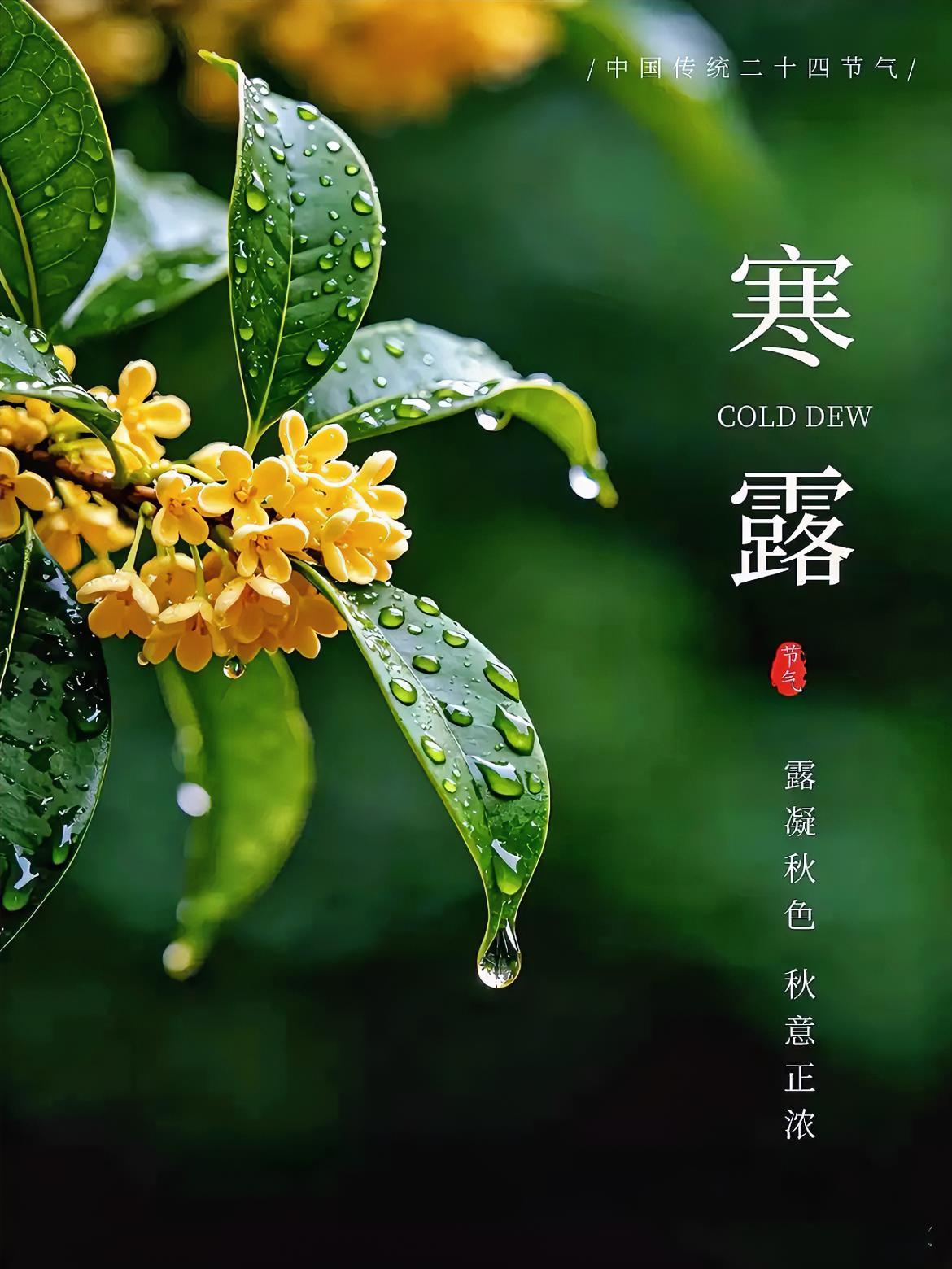 今天是寒露。老话说，寒露不忌嘴，郎中跑断腿。
​先说三样别吃的。
​辣的少吃。秋