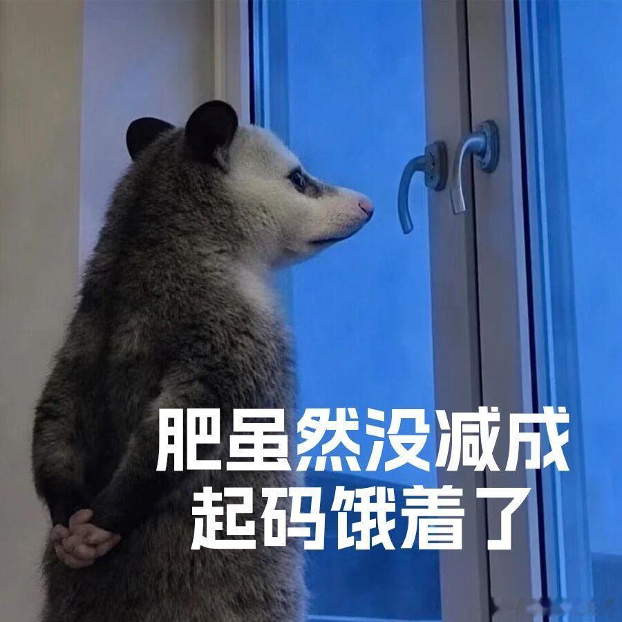 有个学员，平台期了一周没瘦。她急死了，说啥也不听，给自己饿了两天，基本上没咋吃饭