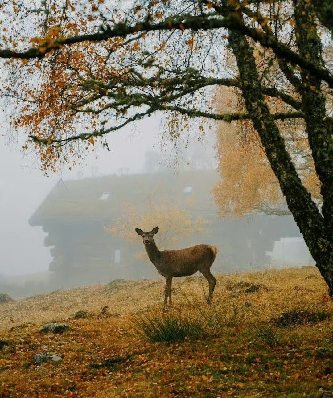 三天内，你期待的陆续都会到来。 