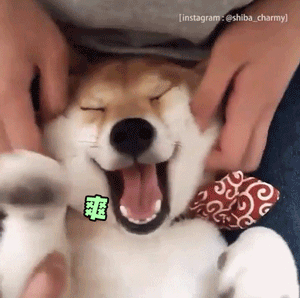 颓了几天终于洗了个澡，腰痛快点远离我🙈