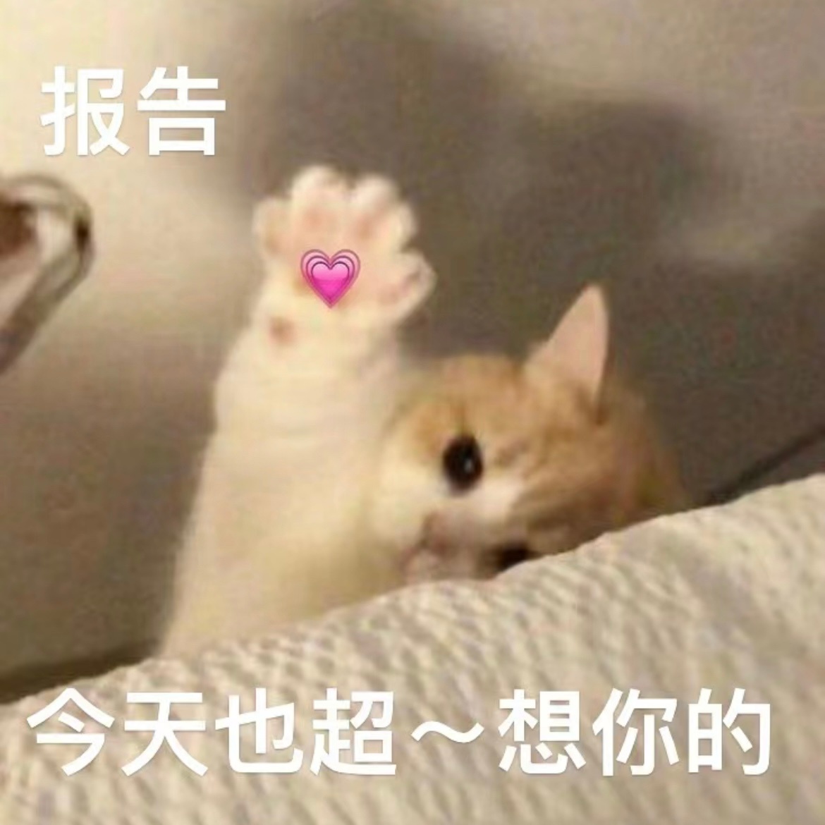 头好痒 恋爱脑要长出来了[委屈]#教授建议18到25岁要多谈恋爱# ​​​