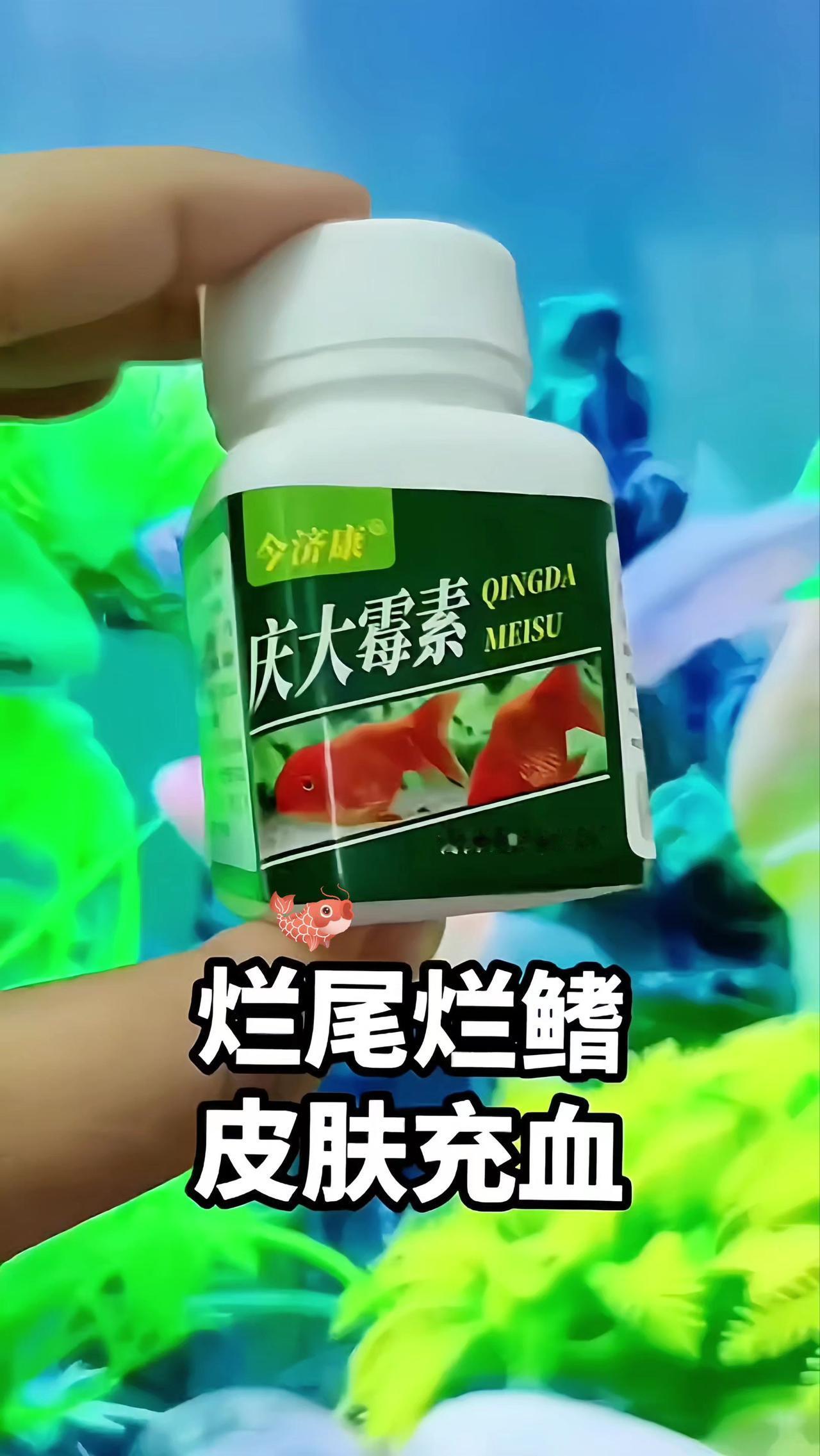 庆大霉素 新手养鱼 养鱼日记 观赏鱼 观赏鱼交叉感染