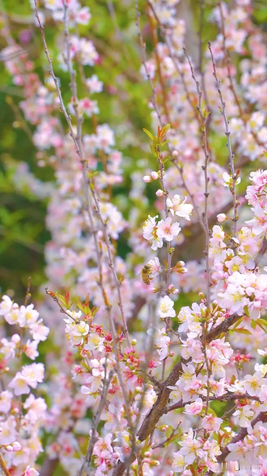 退休了，
拥有“8”才是真正的幸福
1、健康
2、钱够花
3、子女孝顺
4、二三