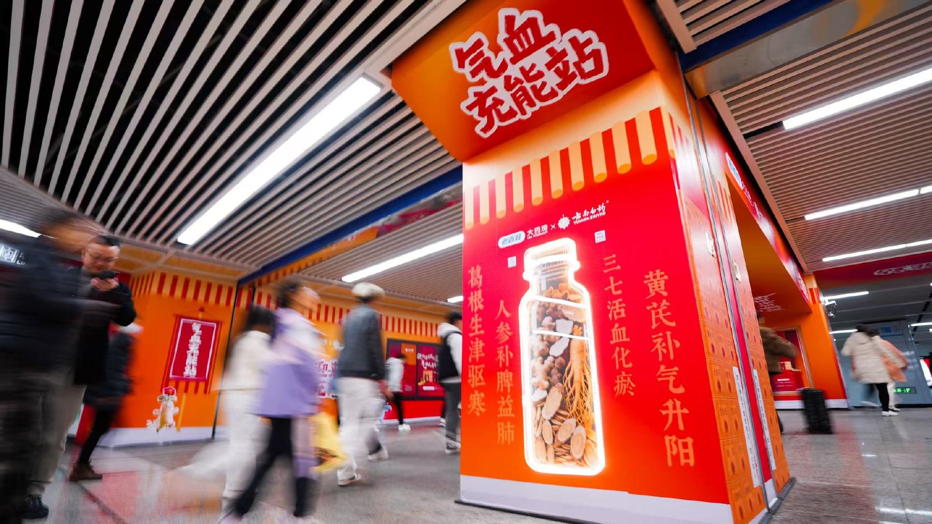 好记的中药名，实在的养生价值。认识黄芪、三七、人参、葛根，了解它们对气血的益处。