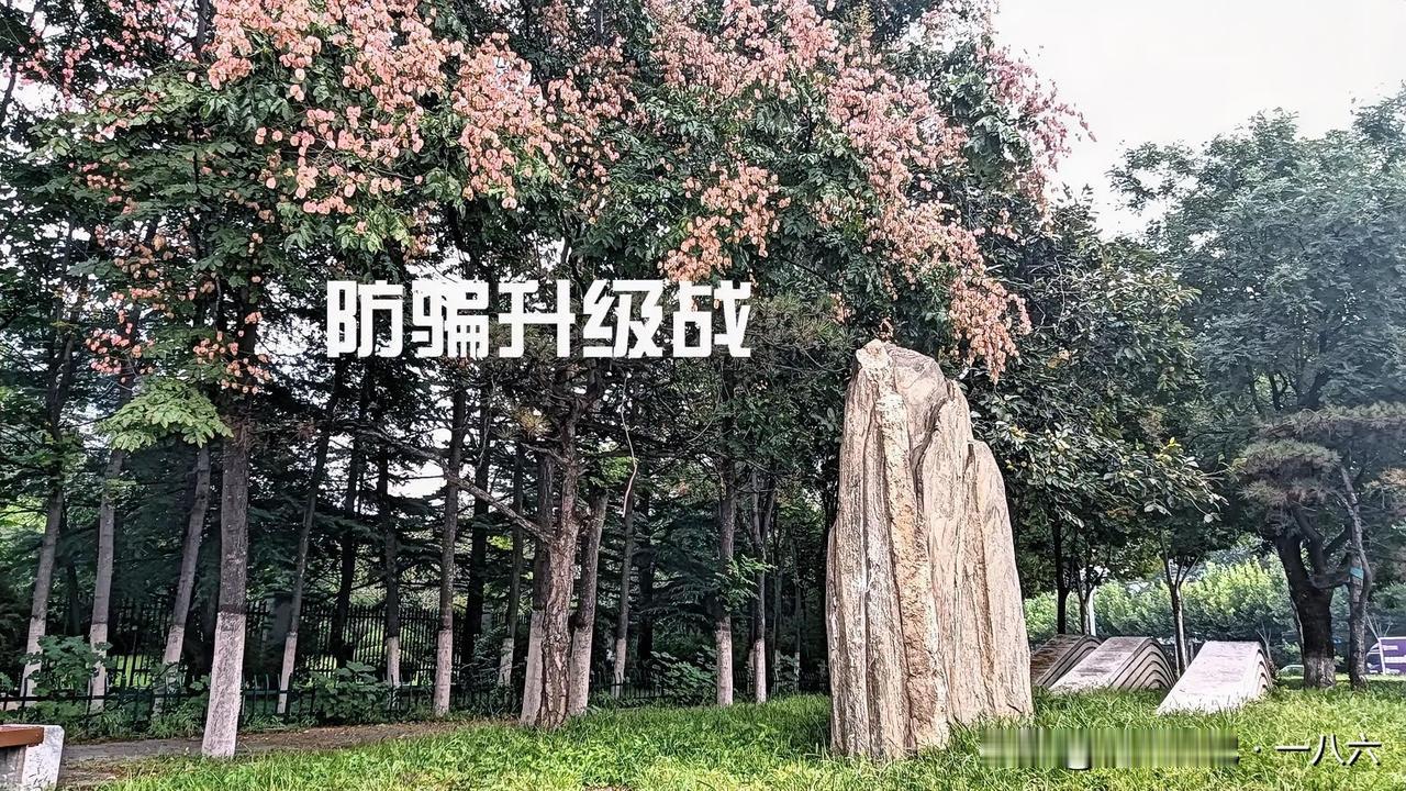 你说得特别准！线下治安变好让传统盗窃失去空间，但犯罪也在“换赛道”，盯上网络和金