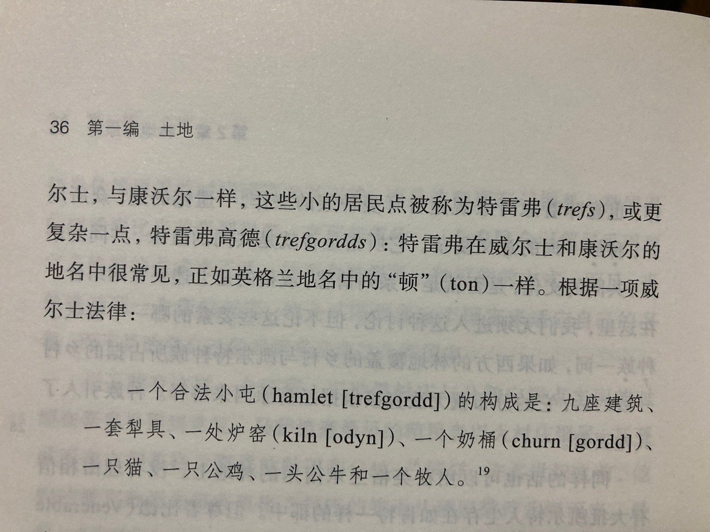 无猫不成屯[喵喵] ​​​