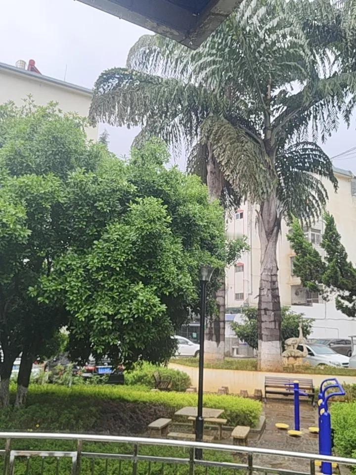 昆明这雨下起来就没个完，今年的雨季真是太疯狂了。
我每天送小孩上学都得全副武装，