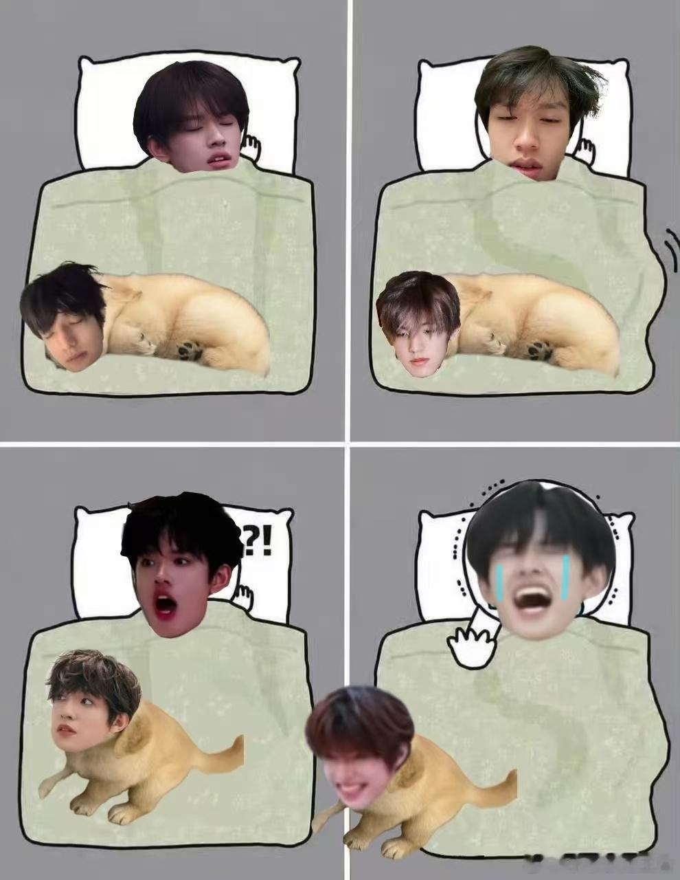 4308【极禹】养猪人和养狗人的日常一则 