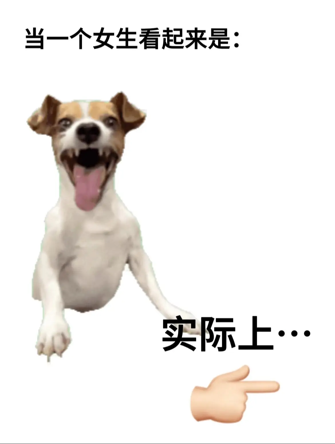 了解一个人先了解她的歌单