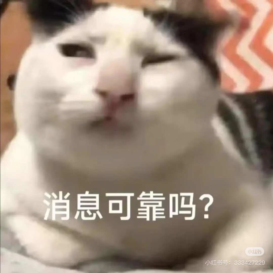 上班后喜欢的表情包 认真读书🍠，哲学，人情、理财、... 