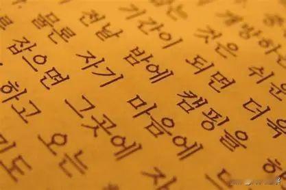 越南废除了汉字、韩国废除了汉字，结果呢？越南彻底改用拉丁国语字，扫盲是快了，可两