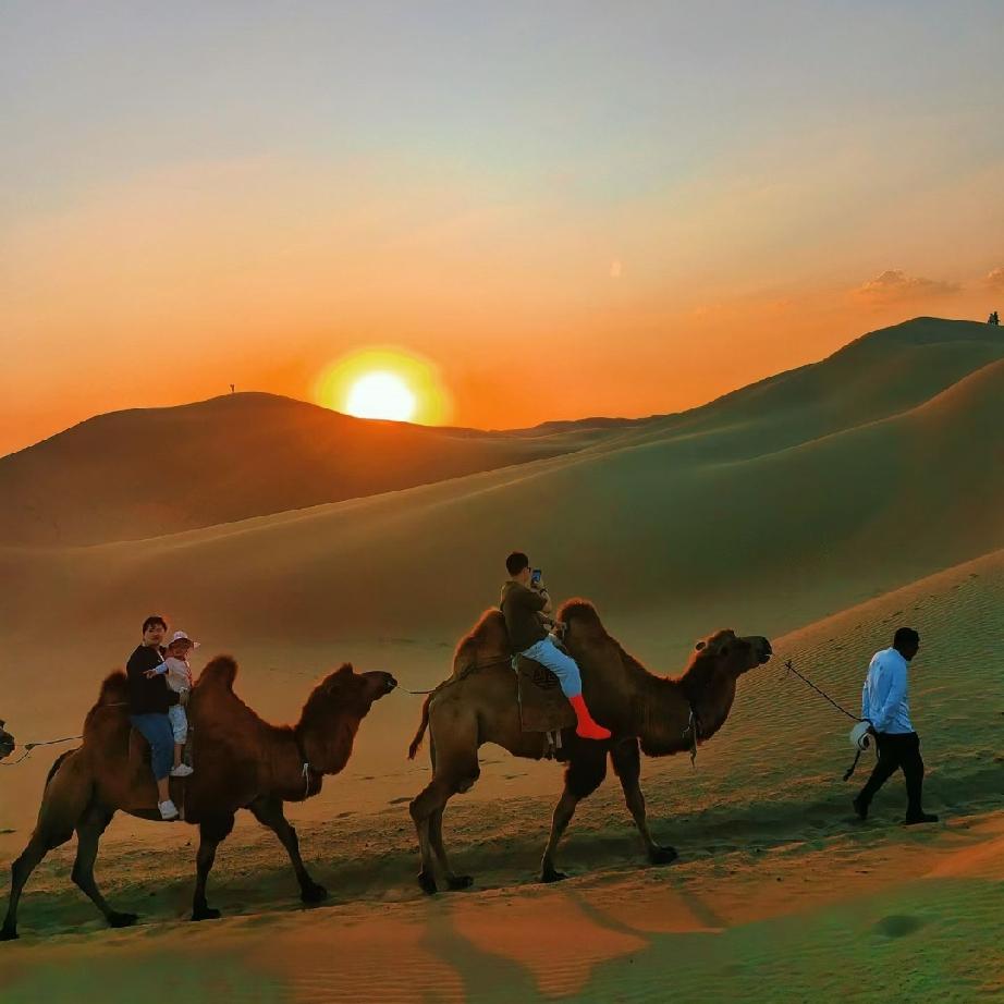 暑期旅游热退潮，文旅账号普遍流量跳水、涨粉停滞、商单减少。真正拉开博主差距的，从