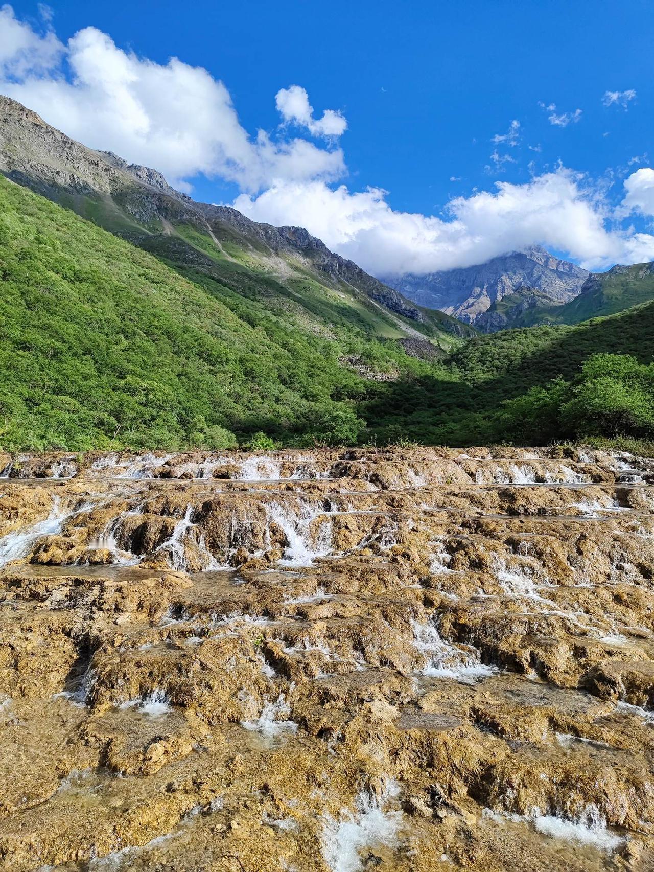 最近总给我推送大学开学的视频。其实我对孩子要求不高，能上所不错的 211 就行。