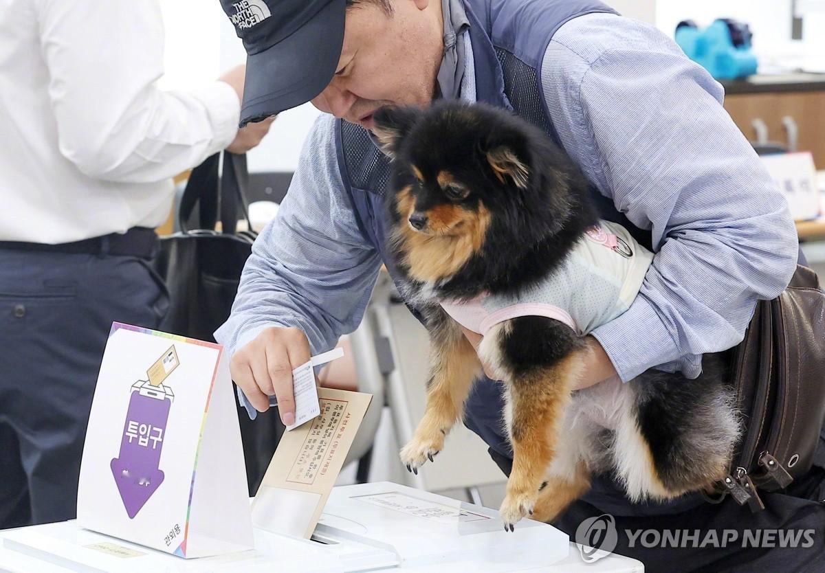 【狗狗见证主人投票】海外新鲜事热点现场 5月29日，韩国第21届总统选举缺席投票
